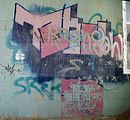 heilanstalt milbitz graffiti_117